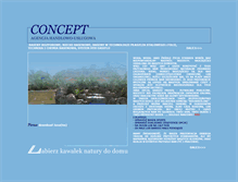 Tablet Screenshot of basen-concept.com.pl